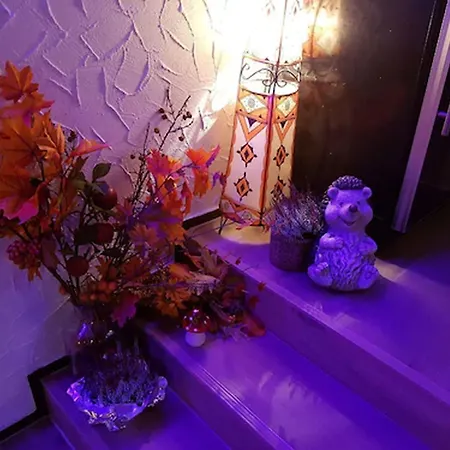 Hotel An Der Hoern 3*