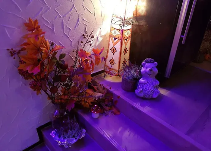 Hotel An Der Hoern 3*